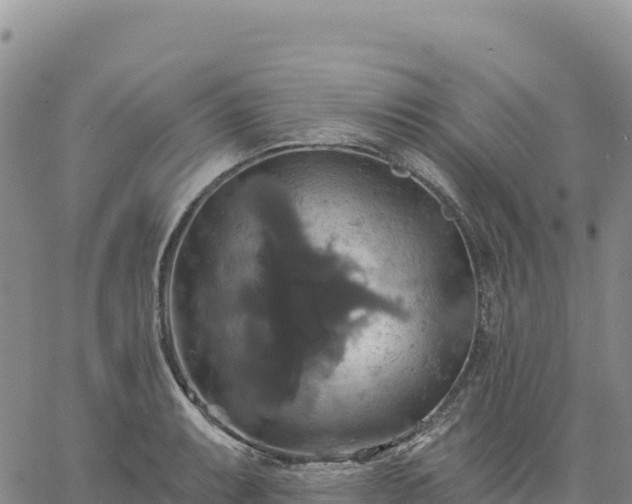 X0000061751087200512091630