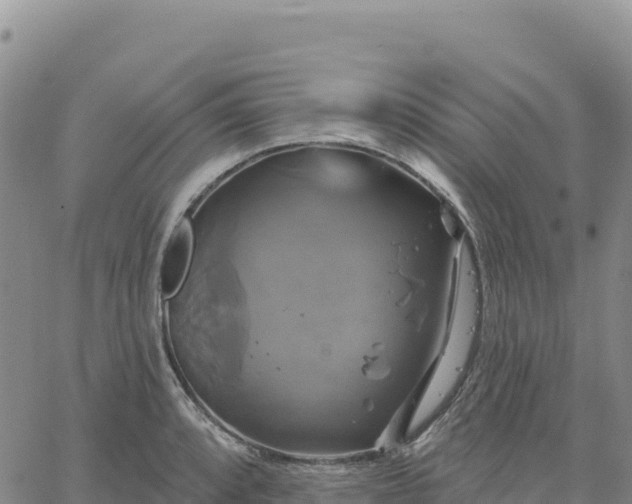 X0000061751088200512091630