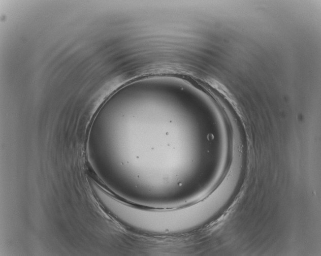 X0000061751089200512091629