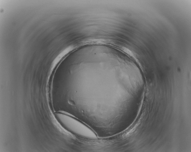 X0000061751090200512091629