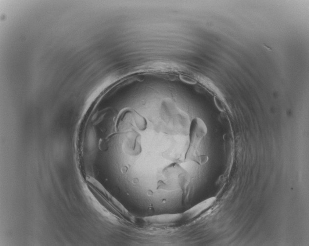 X0000061751091200512091629