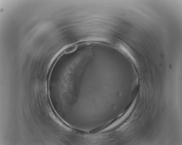 X0000061751092200512091629