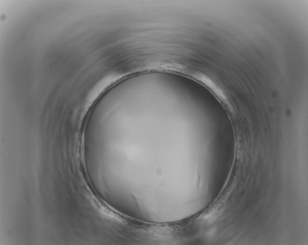 X0000061751094200512091629