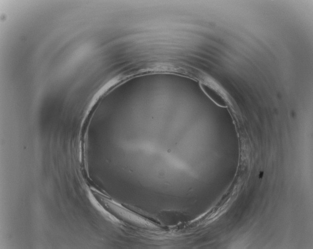 X0000061751095200512091629