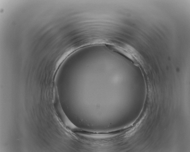 X0000061751097200512091629