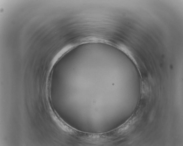 X0000061751098200512091629