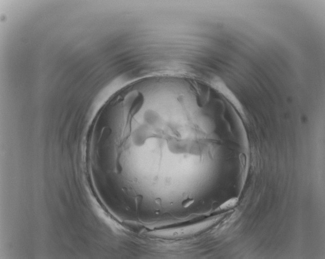 X0000061751099200512091629