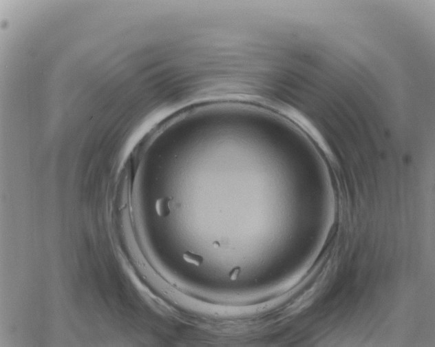 X0000061751101200512091629