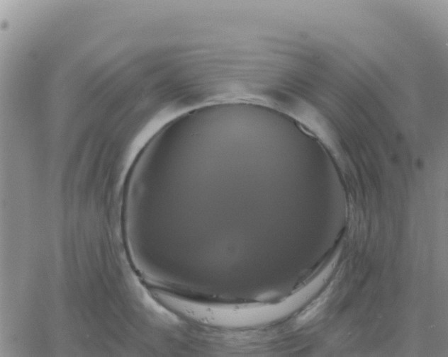 X0000061751102200512091629