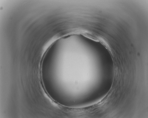 X0000061751103200512091629