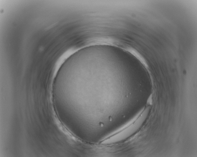 X0000061751104200512091629