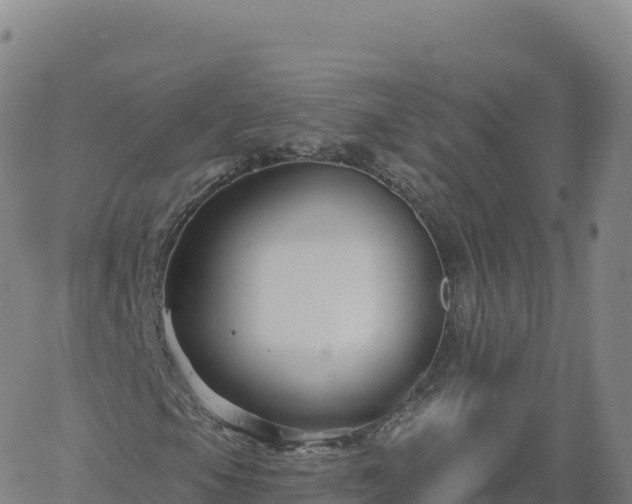 X0000061751105200512091628