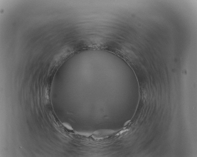 X0000061751106200512091628