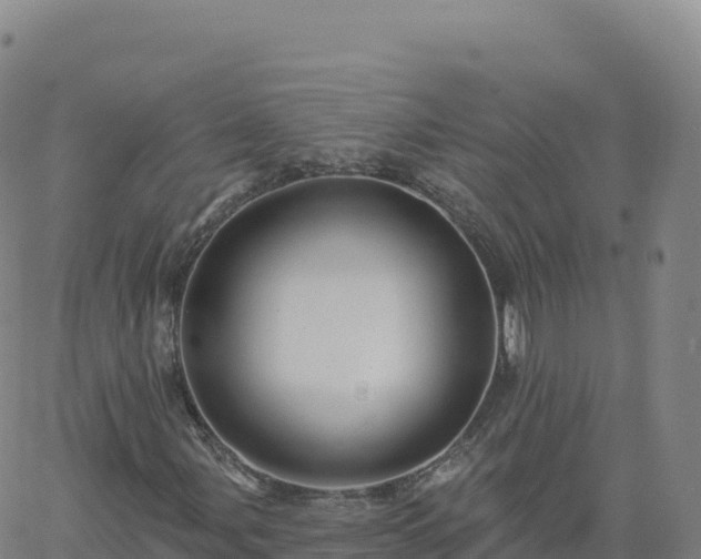 X0000061751107200512091628