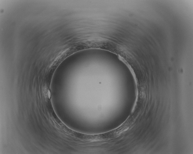 X0000061751108200512091629