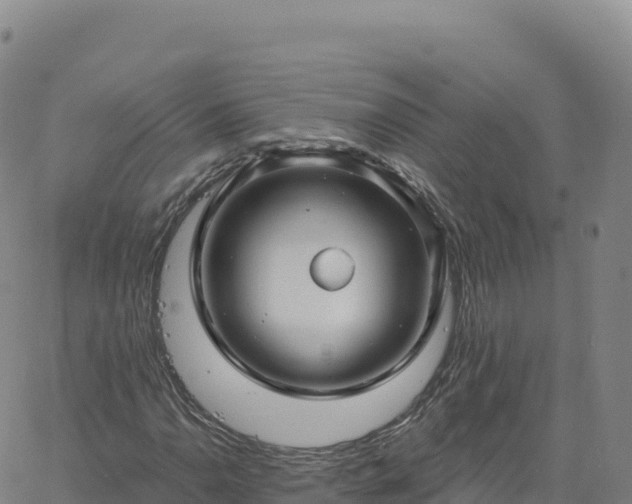 X0000061751110200512091629