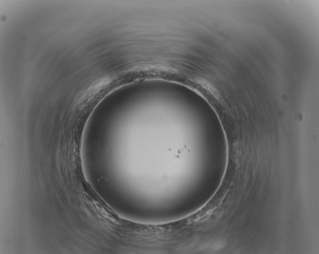 X0000061751111200512091629