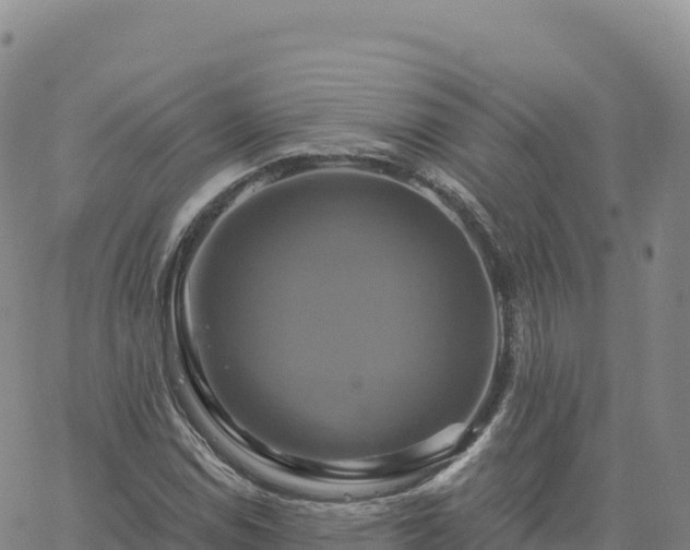 X0000061751114200512091629