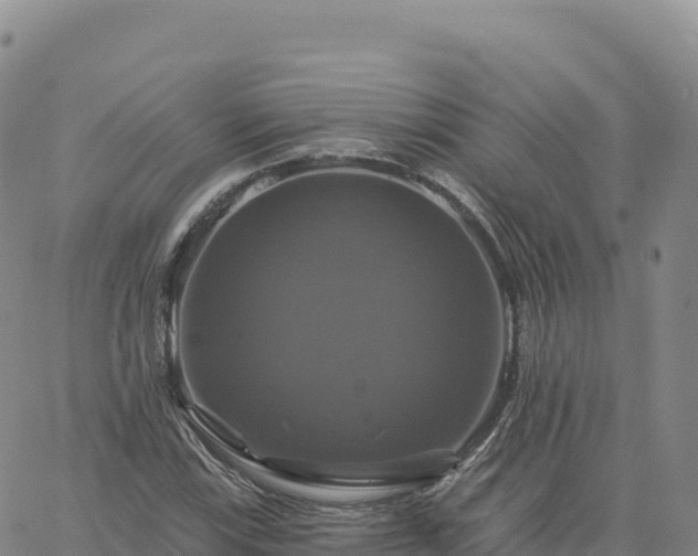 X0000061751115200512091629