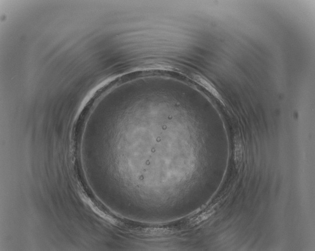 X0000061751116200512091629