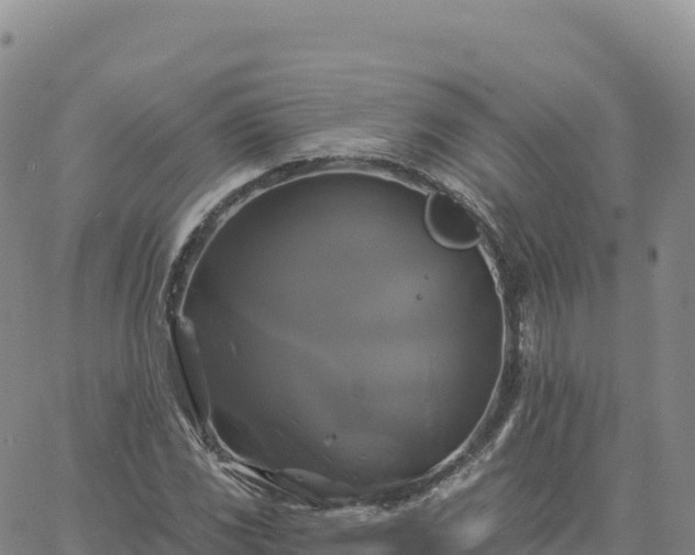 X0000061751117200512091629