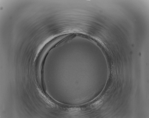 X0000061751118200512091629