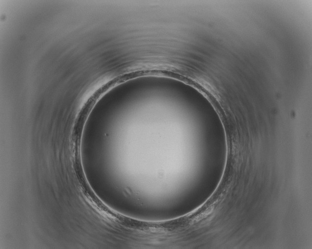 X0000061751119200512091629