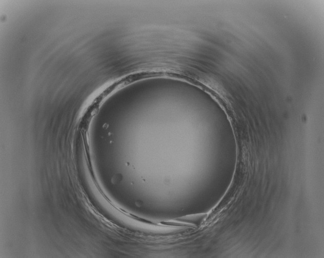 X0000061751120200512091629