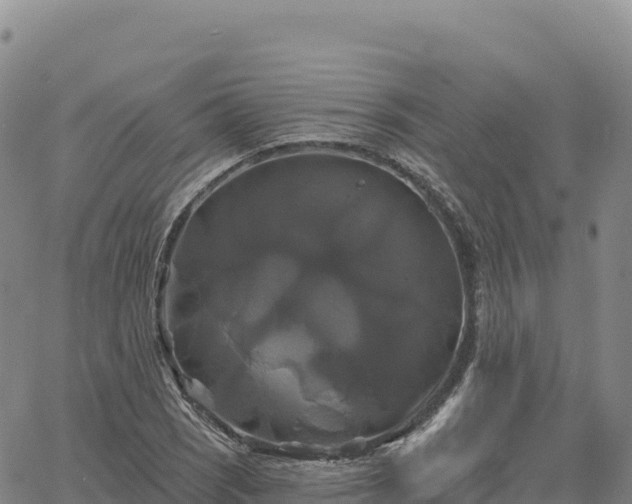 X0000061751121200512091629