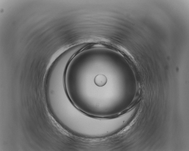 X0000061751122200512091629