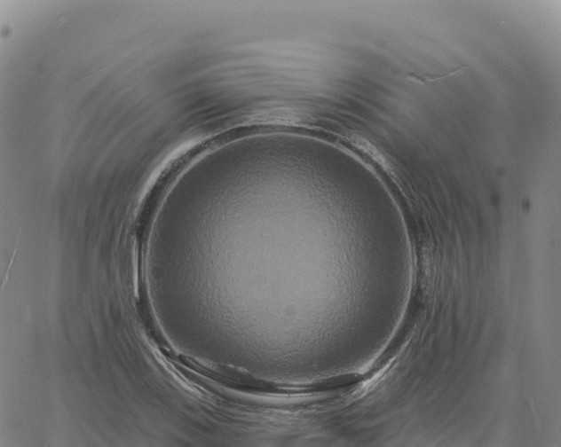 X0000061751123200512091629