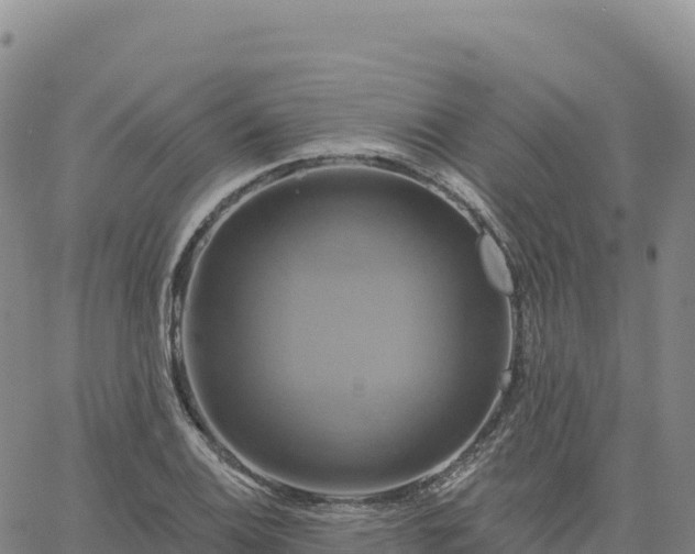 X0000061751124200512091629