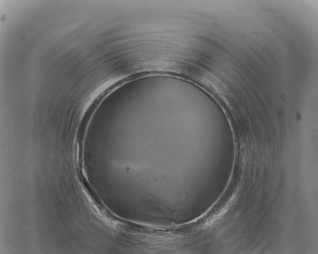 X0000061751125200512091629