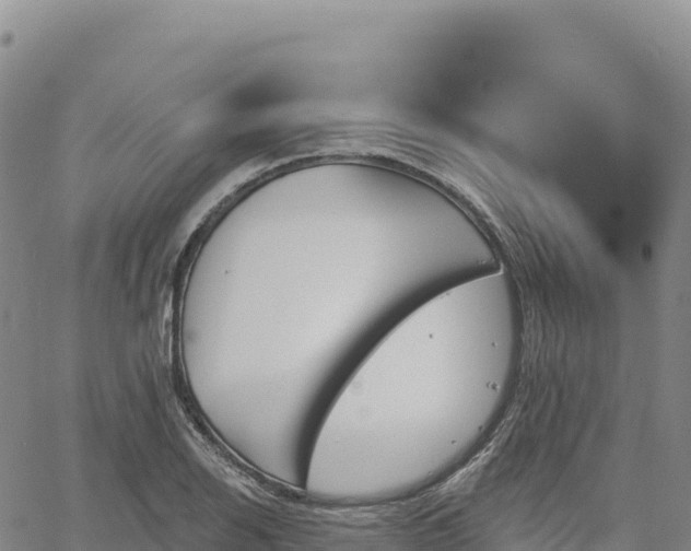 X0000061751126200512091629