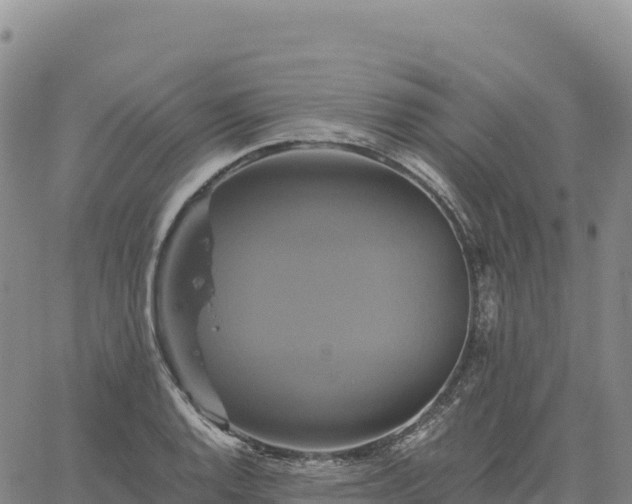 X0000061751128200512091629