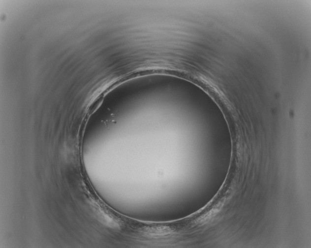 X0000061751129200512091629