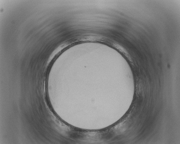 X0000061751130200512091629