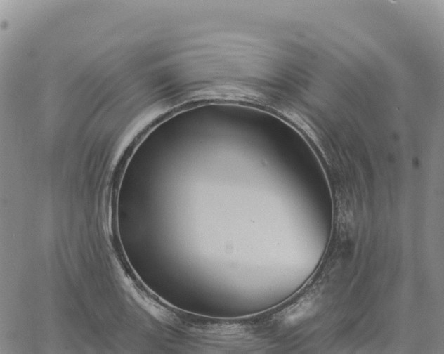 X0000061751131200512091629