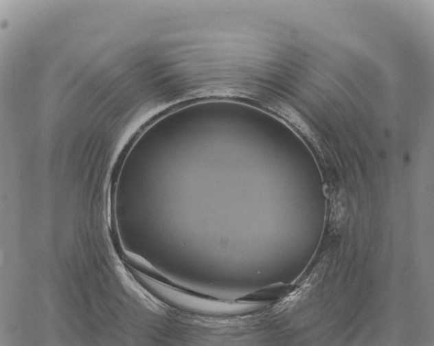 X0000061751132200512091629