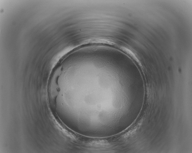 X0000061751133200512091629