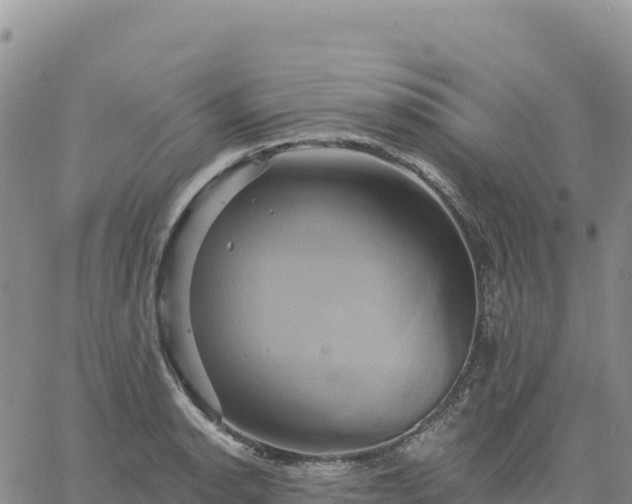 X0000061751134200512091629