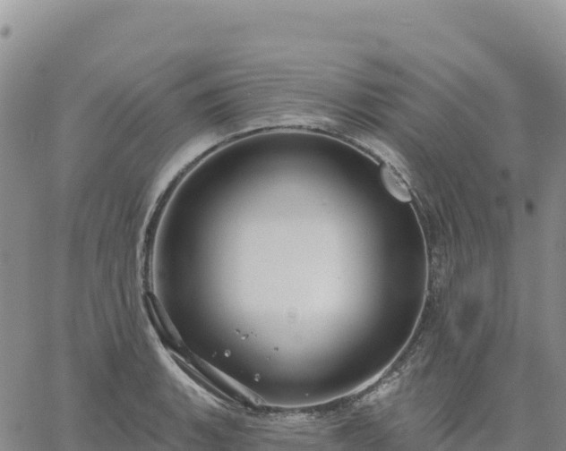 X0000061751135200512091629