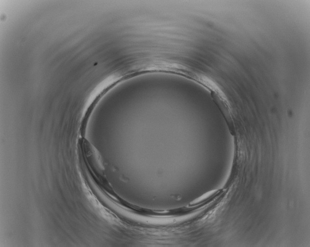 X0000061751138200512091629