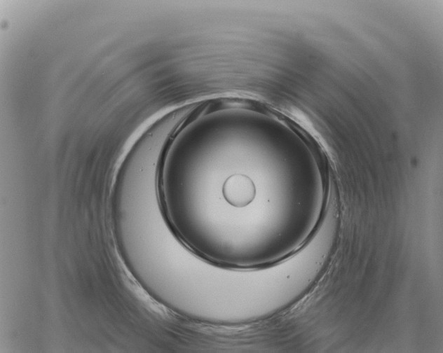 X0000061751140200512091629