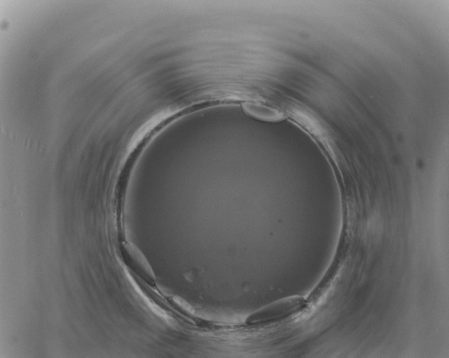 X0000061751141200512091629