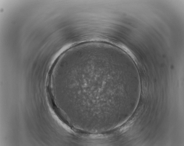 X0000061751142200512091629