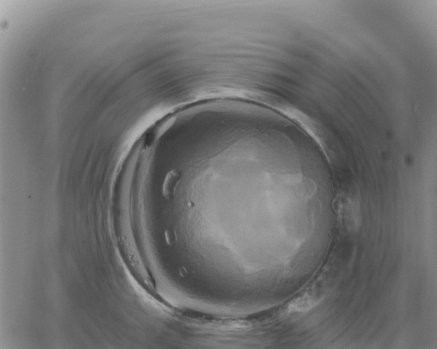 X0000061751143200512091629