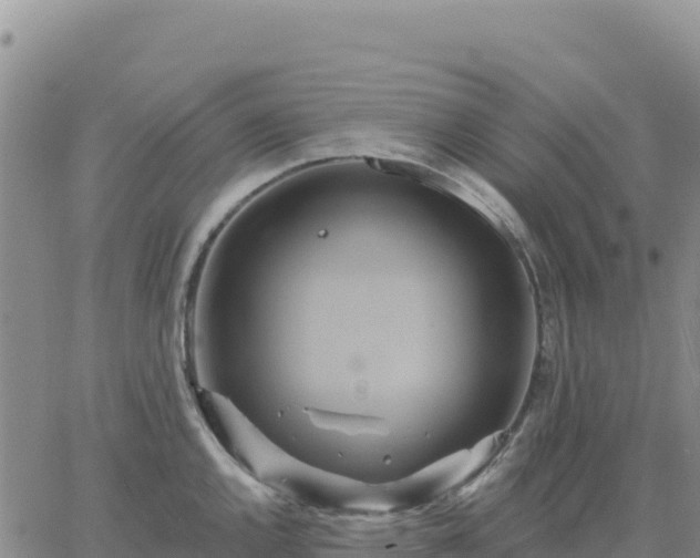 X0000061751144200512091629