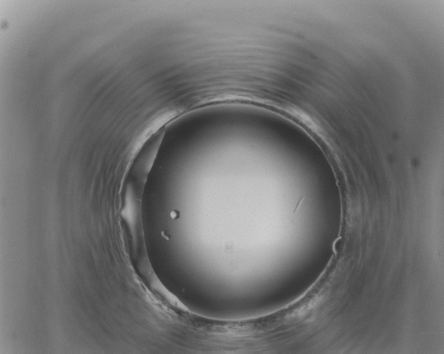 X0000061751145200512091629