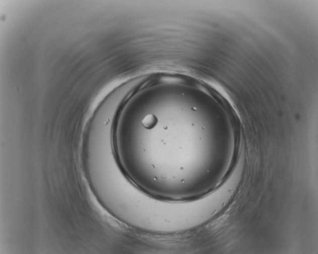 X0000061751147200512091629